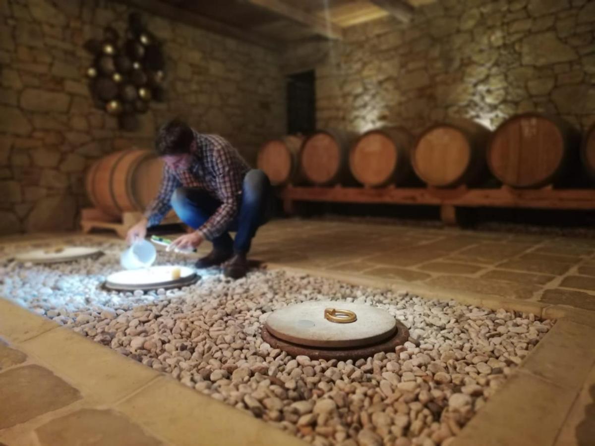 Maxi Sonce, Odprte Vasi Vila Prvacina Exterior foto
