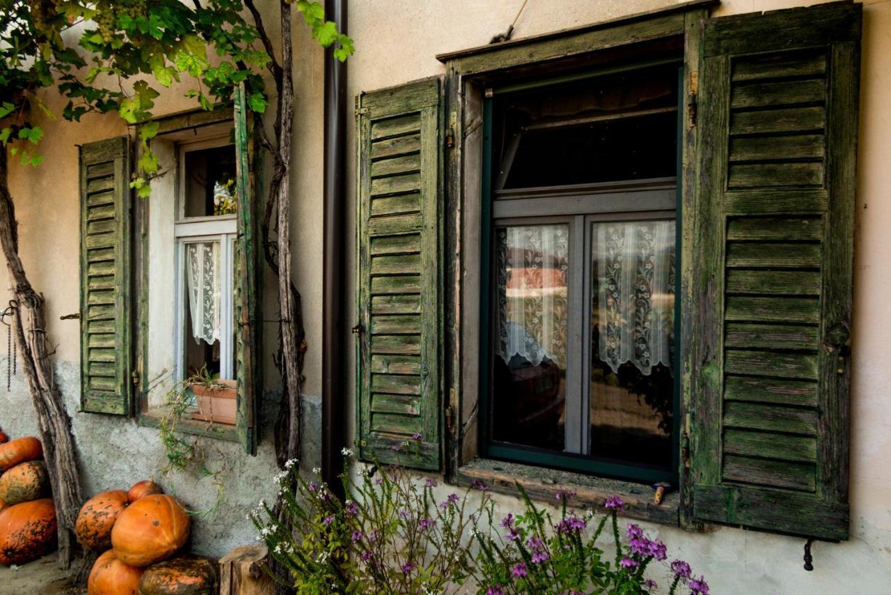 Maxi Sonce, Odprte Vasi Vila Prvacina Exterior foto