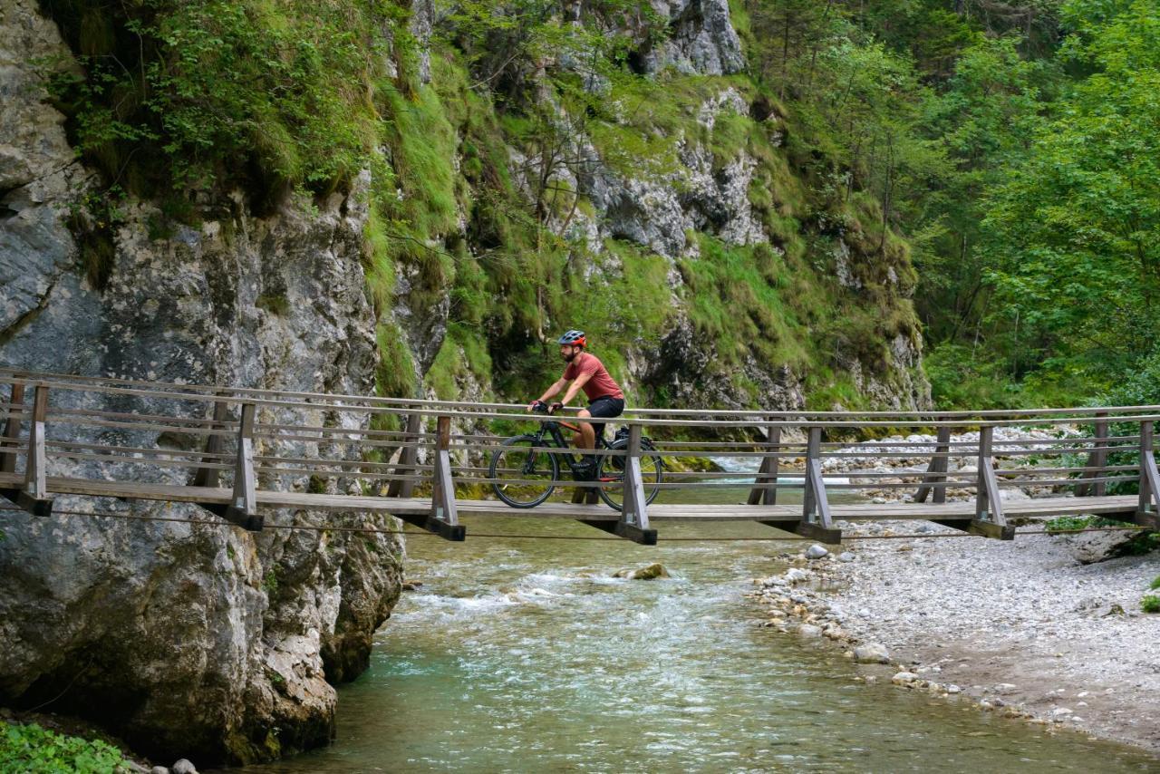 Maxi Sonce, Odprte Vasi Vila Prvacina Exterior foto